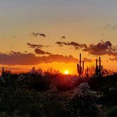 Review photo of Cactus Forest Dispersed by Teri G., May 3, 2024