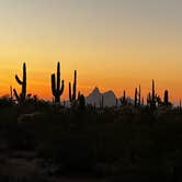 Review photo of Cactus Forest Dispersed by Curious Compass B., December 18, 2025