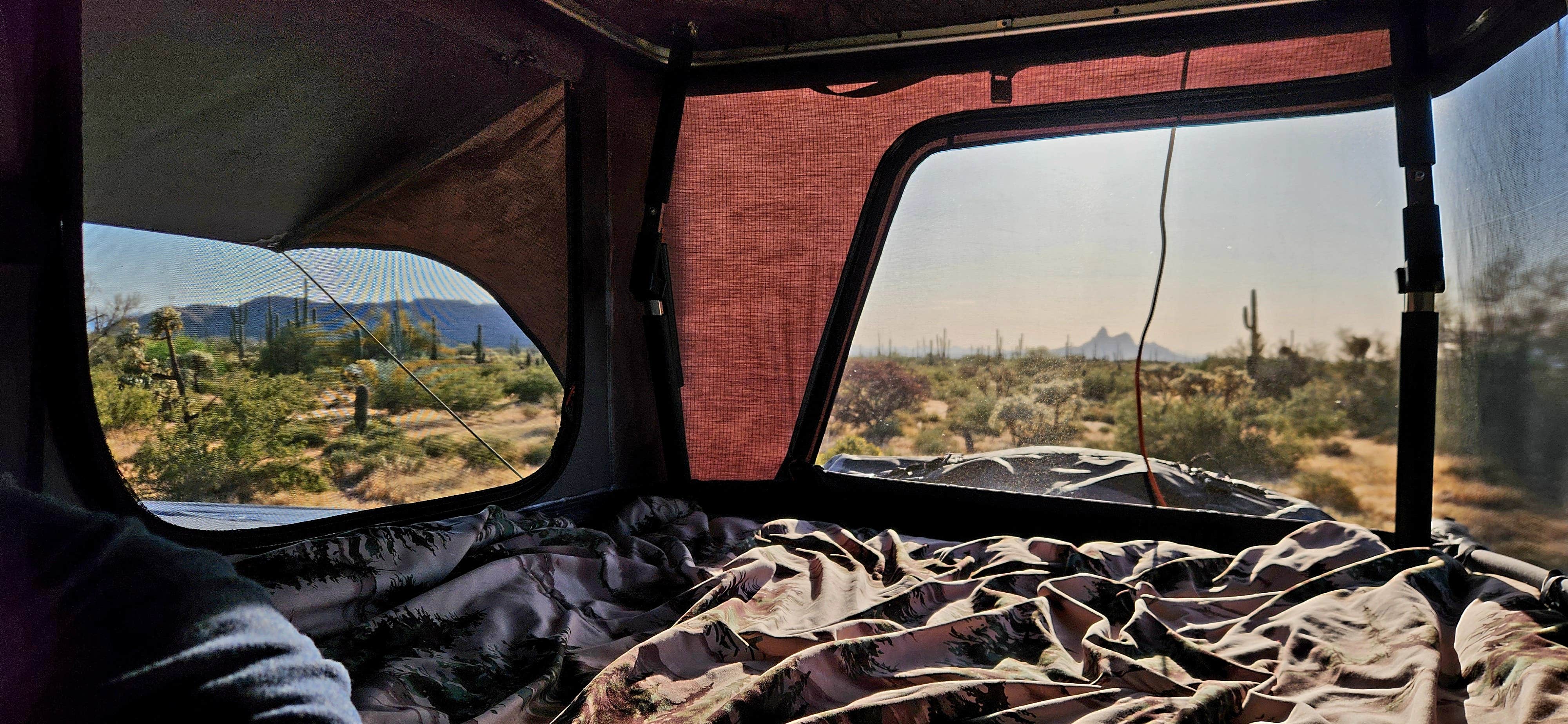 Teri G.'s photo at Cactus Forest Dispersed near Marana, AZ