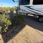 Review photo of Cactus Forest Dispersed by Andy A., February 26, 2026