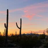 Review photo of Cactus Forest Dispersed by Yonna  S., January 21, 2026