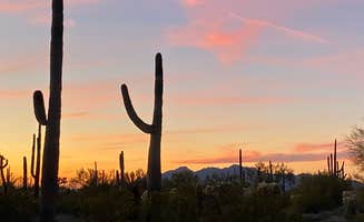 Yonna S.'s photo of a dispersed camping area at Cactus Forest Dispersed near Mammoth, AZ