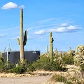 Review photo of Cactus Forest Dispersed by Teri G., May 3, 2024