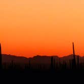 Review photo of Cactus Forest Dispersed by Teri G., May 3, 2024