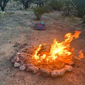 Review photo of Cactus Forest Dispersed by cheryl , November 12, 2025