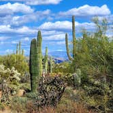 Review photo of Cactus Forest Dispersed by Teri G., May 3, 2024