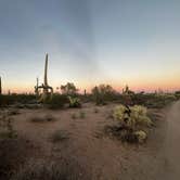 Review photo of Cactus Forest Dispersed by Curious Compass B., December 18, 2025