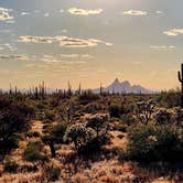 Review photo of Cactus Forest Dispersed by Teri G., May 3, 2024