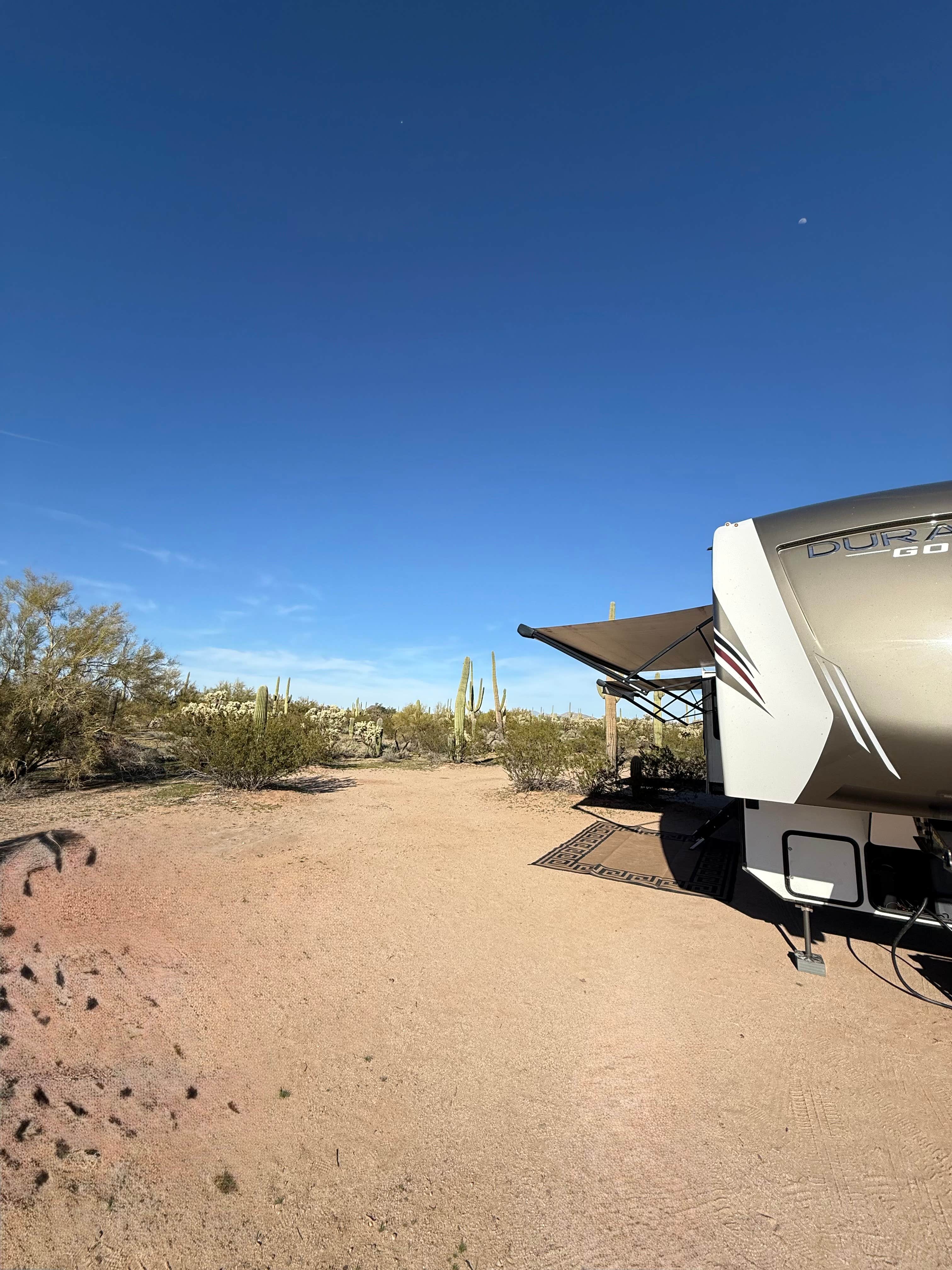 Andy A.'s photo of a dispersed camping area at Cactus Forest Dispersed near Cortaro, AZ