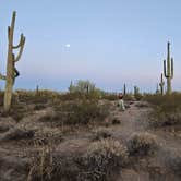 Review photo of Cactus Forest Dispersed by Ethan B., June 12, 2025