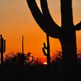 Review photo of Cactus Forest Dispersed by Ethan B., June 12, 2025