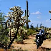 Review photo of Cactus Forest Dispersed by Teri G., May 3, 2024