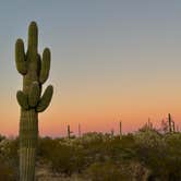 Review photo of Cactus Forest Dispersed by cheryl , November 12, 2025