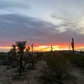 Review photo of Cactus Forest Dispersed Site by laura G., January 5, 2026