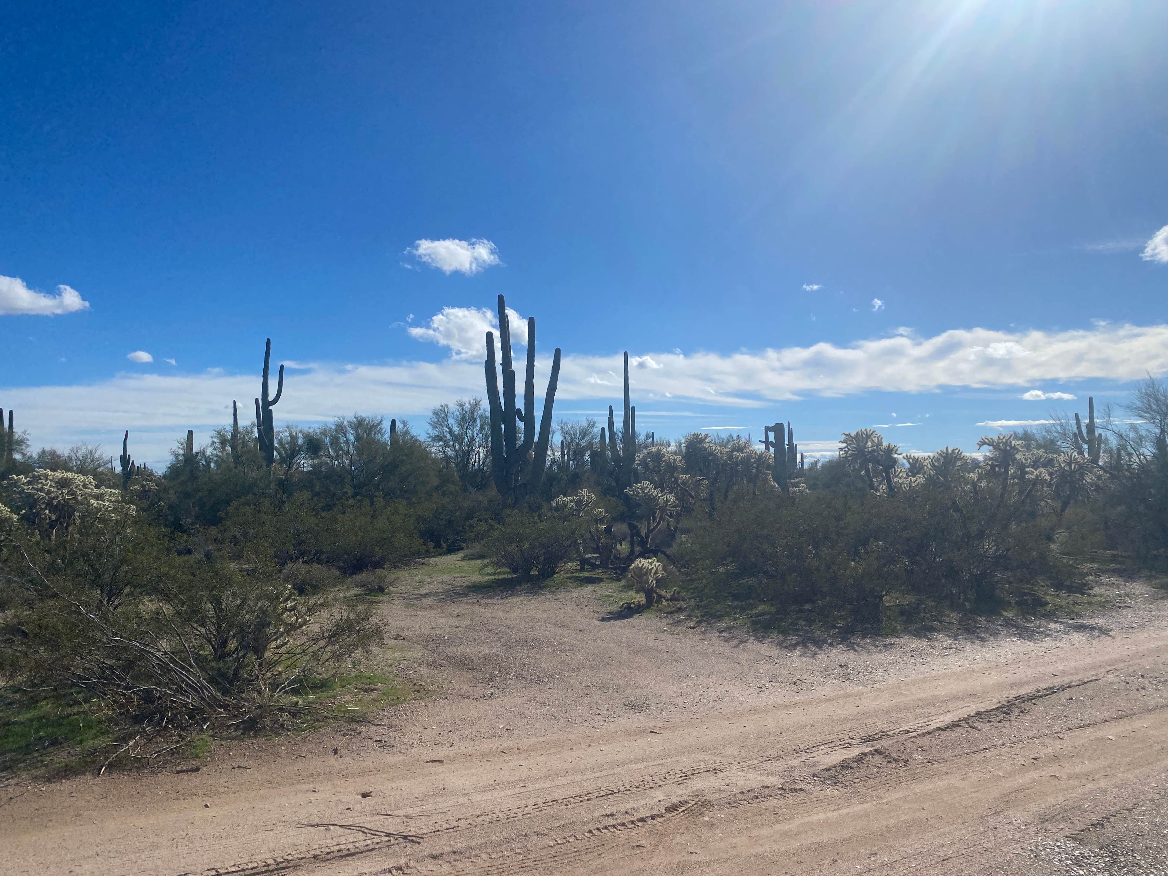 Danny T.'s photo of a dispersed camping area at Cactus Forest Dispersed Site near Eloy, AZ
