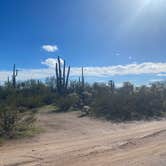 Review photo of Cactus Forest Dispersed Site by Danny T., January 26, 2024