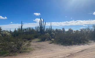 Danny T.'s photo of a dispersed camping area at Cactus Forest Dispersed Site near Mammoth, AZ