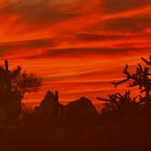 Review photo of Cactus Forest Dispersed Site by Christie S., March 5, 2026