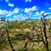 Review photo of Cactus Forest Dispersed Site by Danny T., January 26, 2024