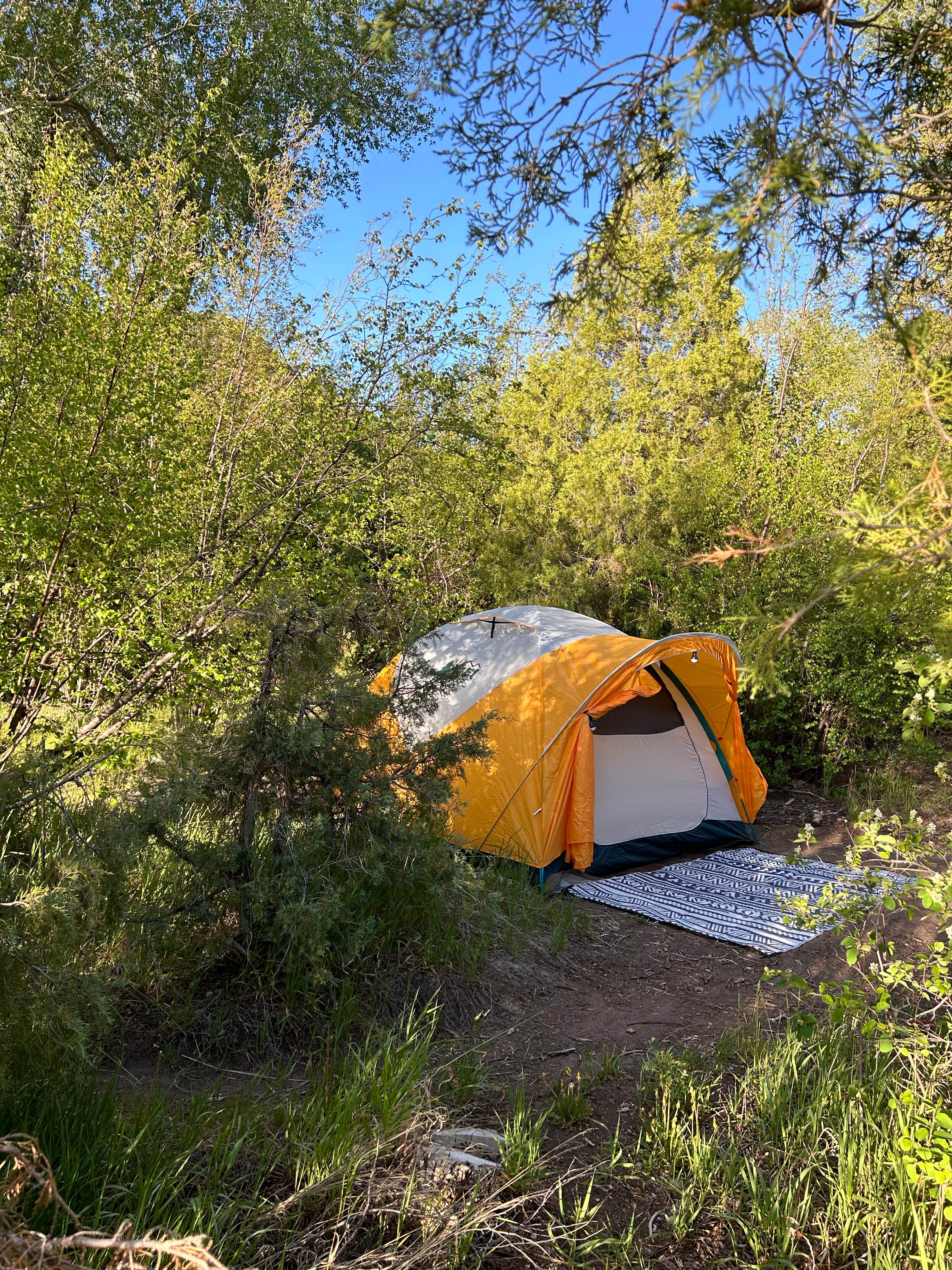 Camper-submitted photo at Caddis Flats near Norwood, CO