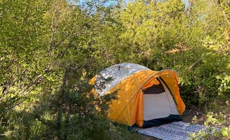 melissa D.'s photo at Caddis Flats near Norwood, CO
