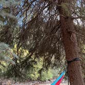Review photo of Caddis Flats by Melinda R., September 7, 2026