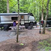 Review photo of Cades Cove Campground by Gregory G., August 22, 2024