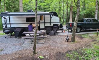 Gregory G.'s photo at Cades Cove Campground near Townsend, TN