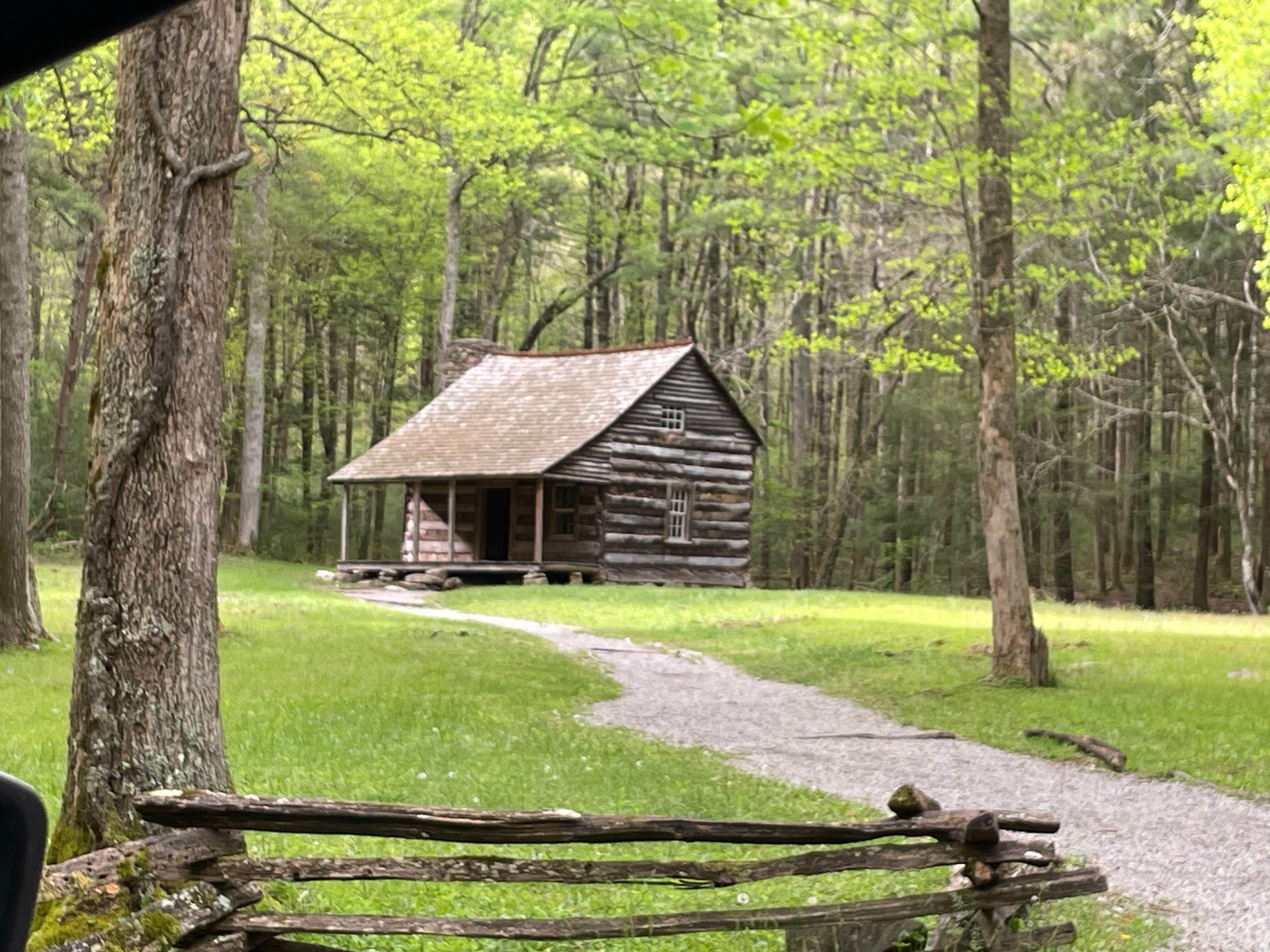 Carol B.'s photo of glamping accommodations at Cades Cove Campground near Marble, NC