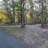 Review photo of Cades Cove Campground by Kim L., November 26, 2024