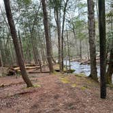 Review photo of Cades Cove Group Campground — Great Smoky Mountains National Park by dinara C., April 16, 2024