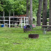 Review photo of Equestrian Camp — Caesar Creek State Park by Gary D., May 19, 2026
