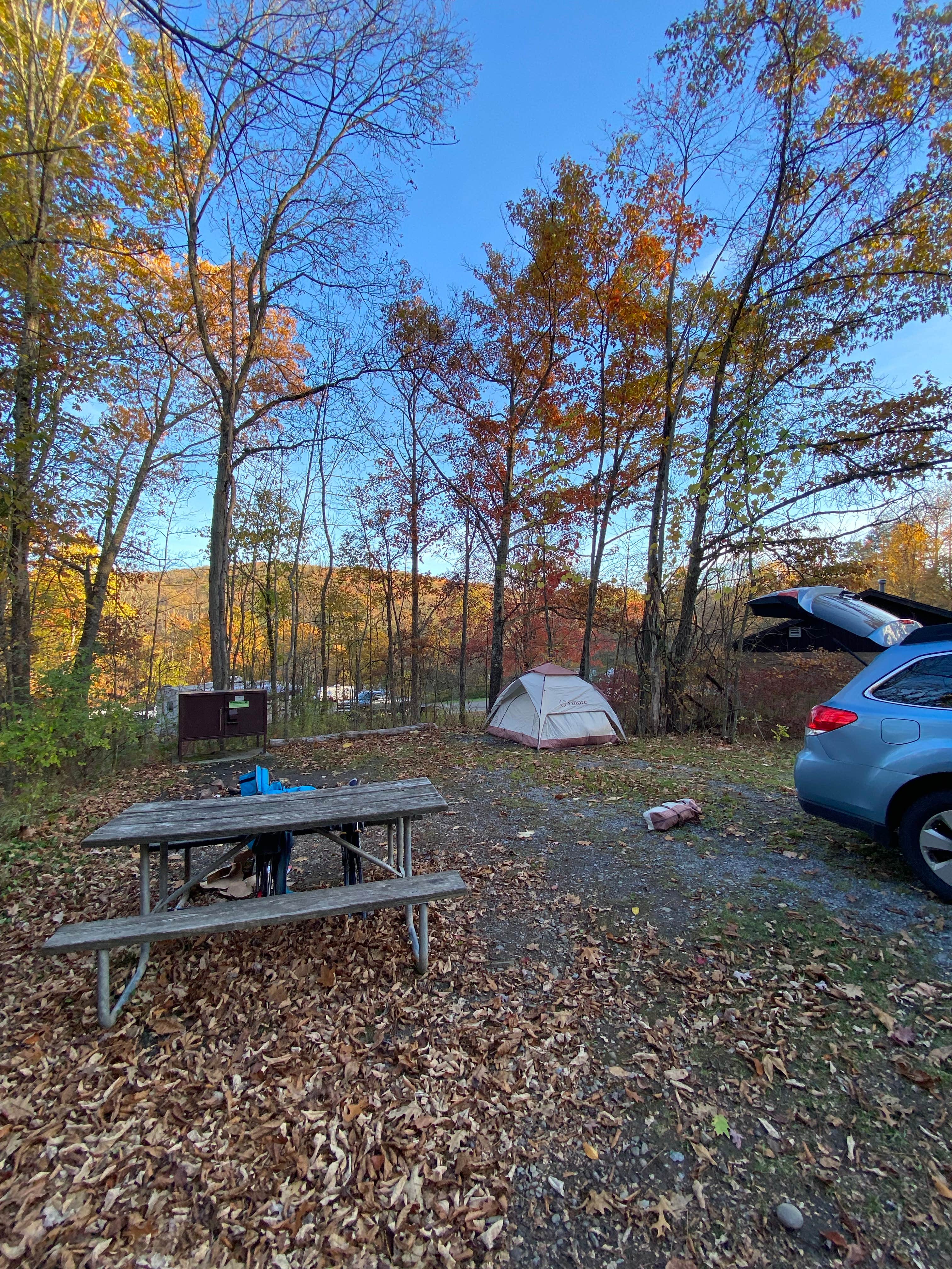 Casey L.'s photo at Cain hollow campground near Gowanda, NY