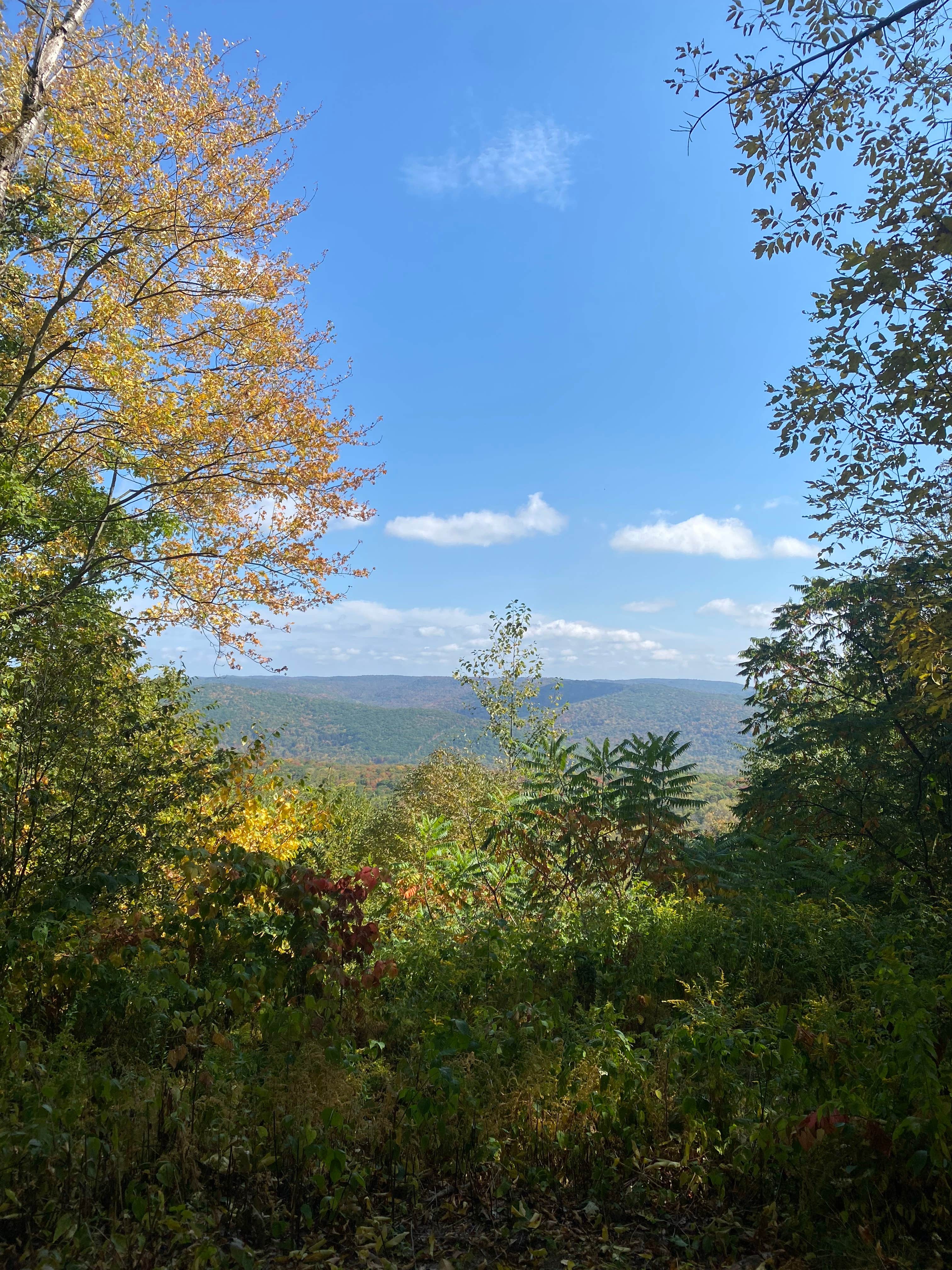 Camper-submitted photo at Cain hollow campground near Salamanca, NY