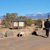 Review photo of Caja Del Rio Dispersed Camping by Renee T., December 29, 2023