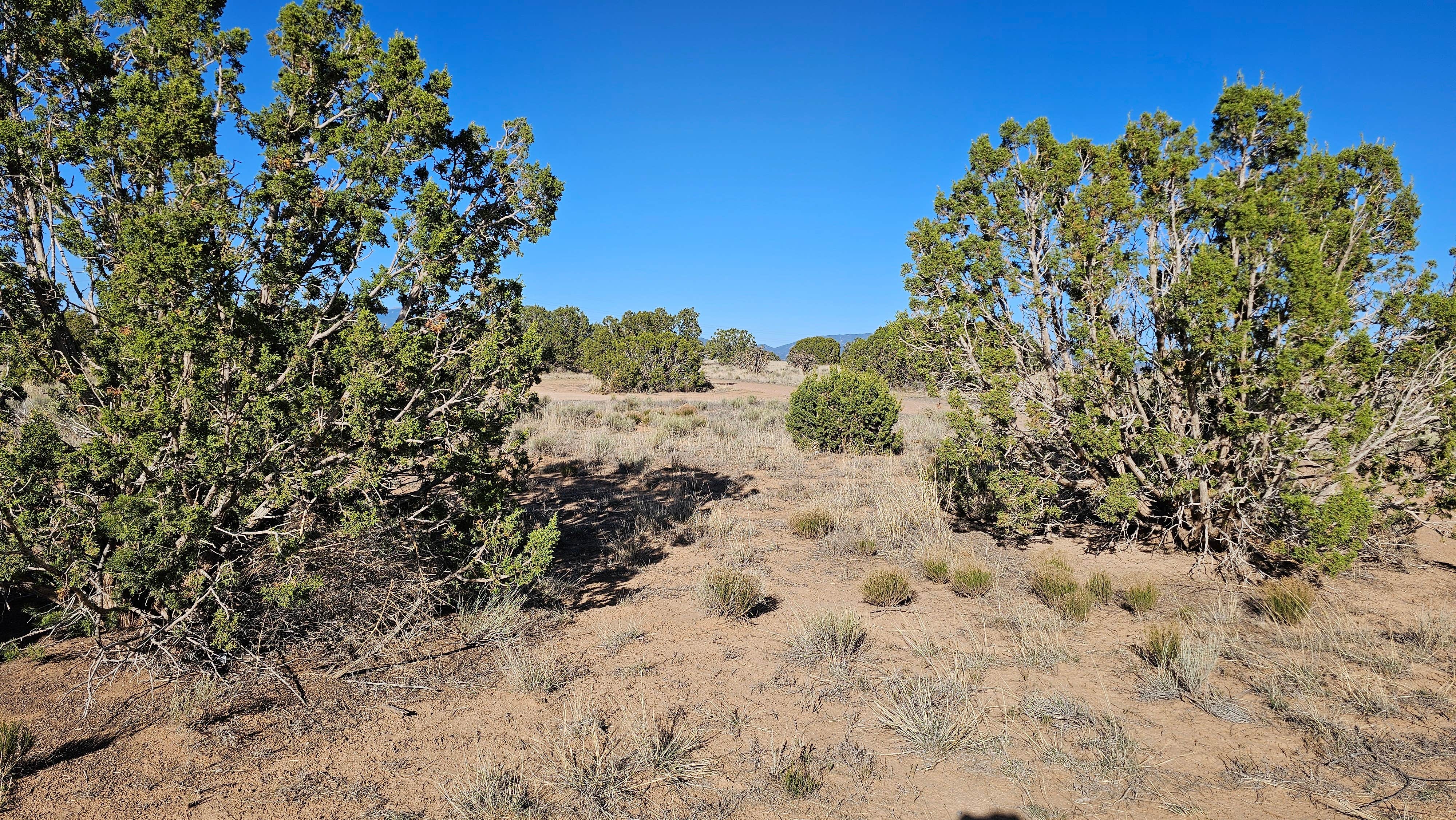 Camper-submitted photo at Caja Del Rio Dispersed Camping near Tesuque, NM