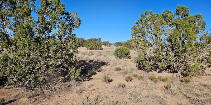 Camper submitted image from Caja Del Rio Dispersed Camping