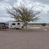 Review photo of Cal-Nev-Ari RV Park by maryellen S., January 4, 2026
