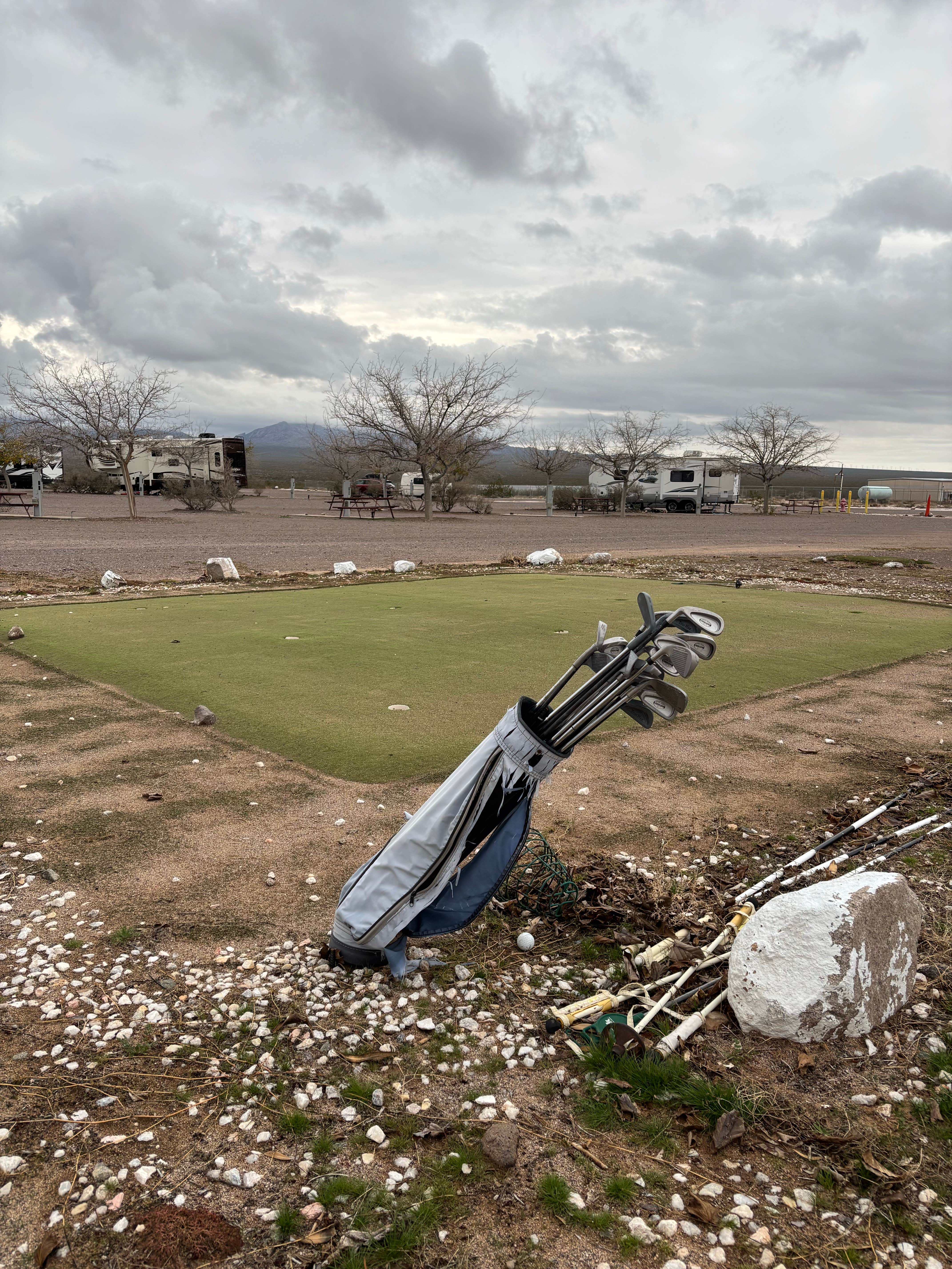 Camper submitted image from Cal-Nev-Ari RV Park - 1