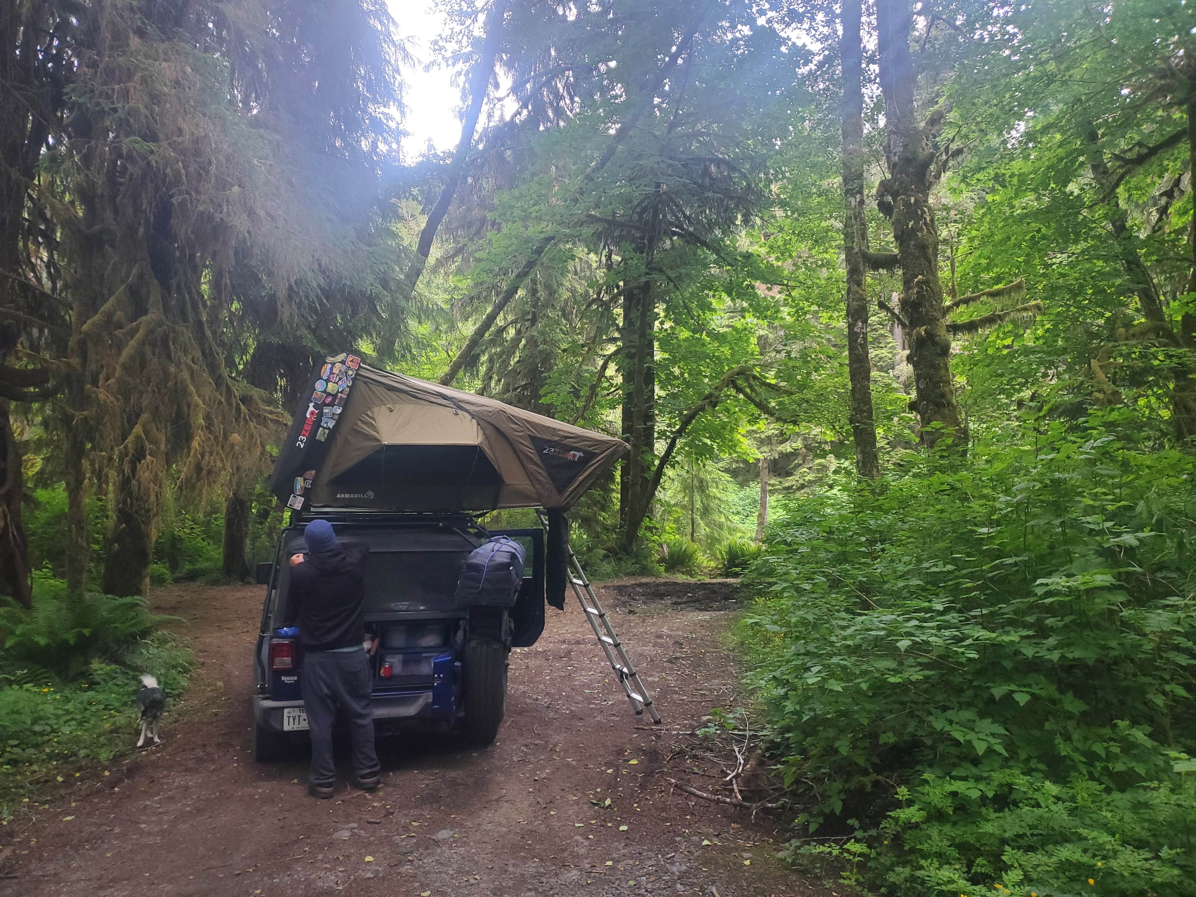 Katie P.'s photo of a dispersed camping area at Calawah River Pull-Off on Forest Road 2932 near Forks, WA