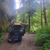 Review photo of Calawah River Pull-Off on Forest Road 2932 by Katie P., June 14, 2025