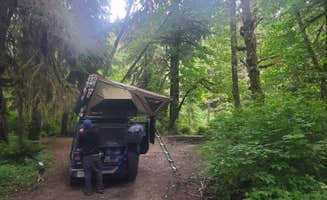 Katie P.'s photo of a dispersed camping area at Calawah River Pull-Off on Forest Road 2932 near Olympic National Forest