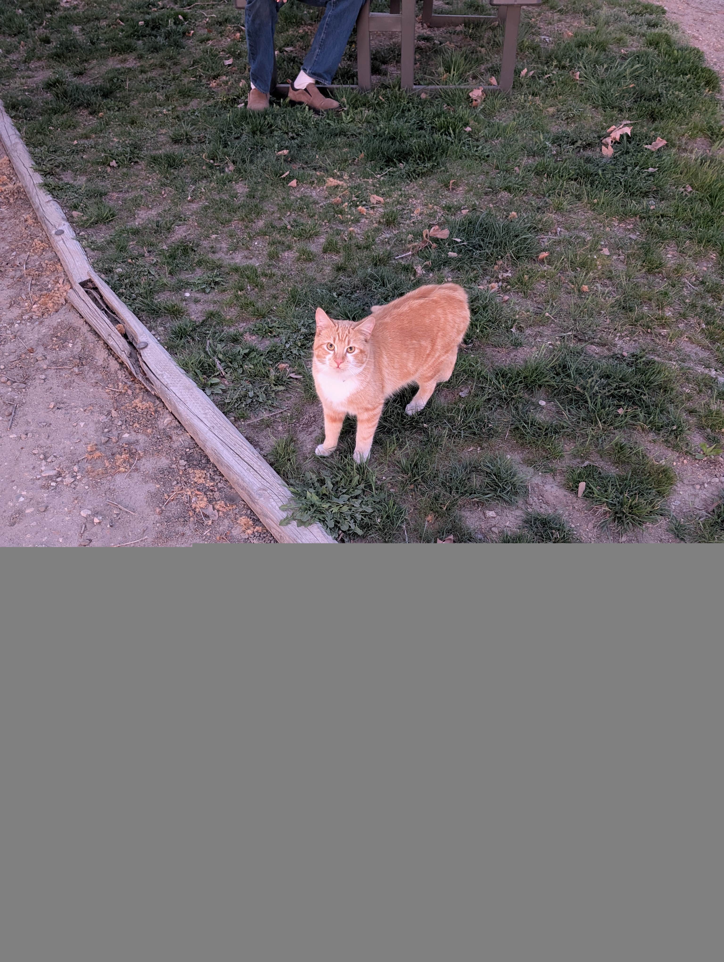 Camper-submitted photo at Caldwell Campground and RV Park near Sweet, ID