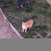 Review photo of Caldwell Campground and RV Park by Brandy H., March 29, 2026