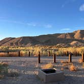 Review photo of Afton Canyon Campground by Susan C., November 25, 2024