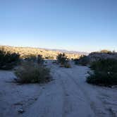 Review photo of Afton Canyon Campground by Vincent B., June 10, 2024
