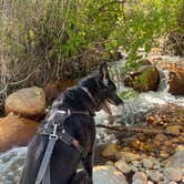 Review photo of Alabama Hills Recreation Area by Ciara W., August 7, 2024