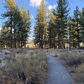 Review photo of Alpine Meadow Campground by Kim G., September 26, 2026