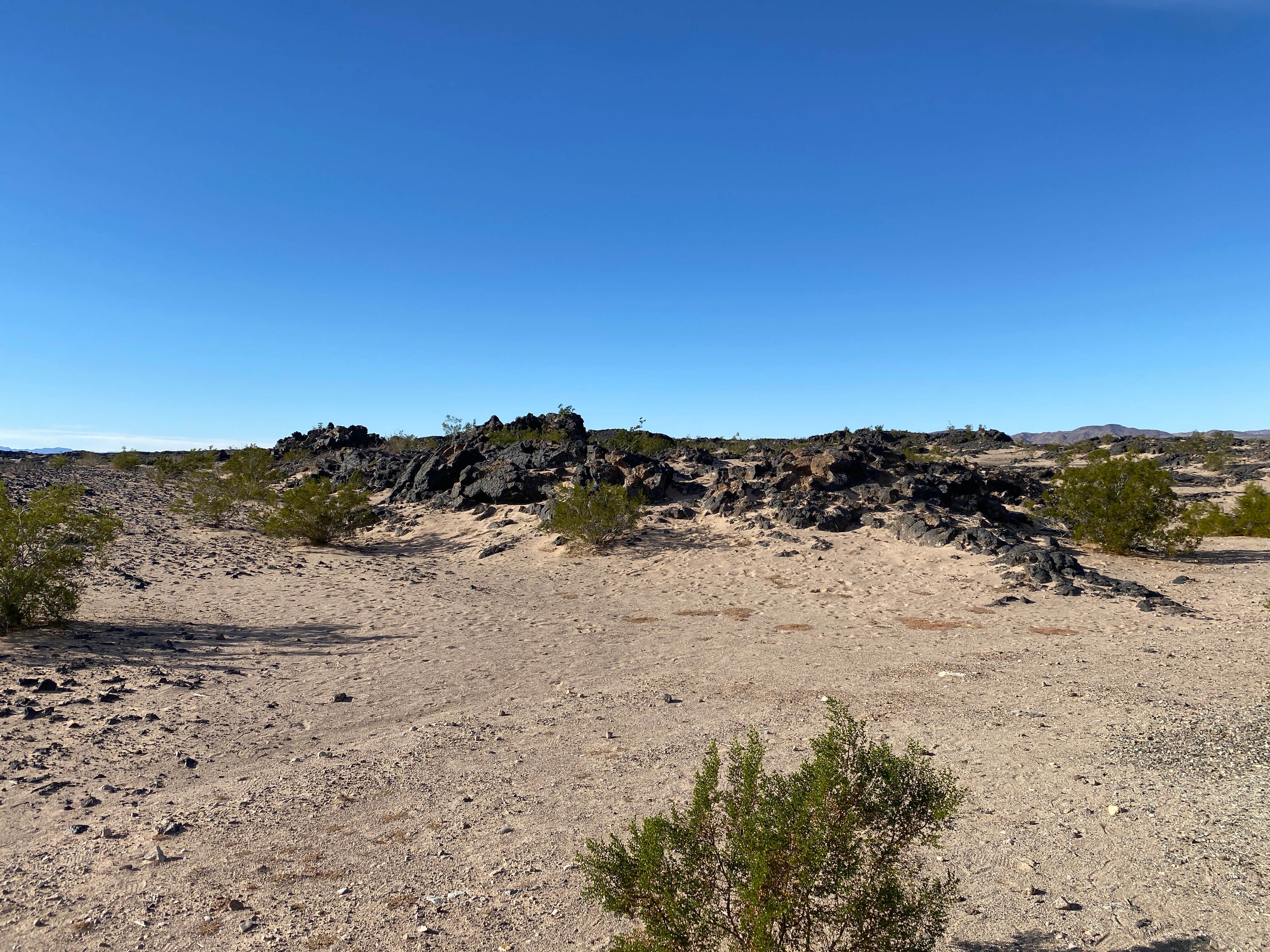Camper-submitted photo at Amboy Crater Dispersed near Amboy, CA