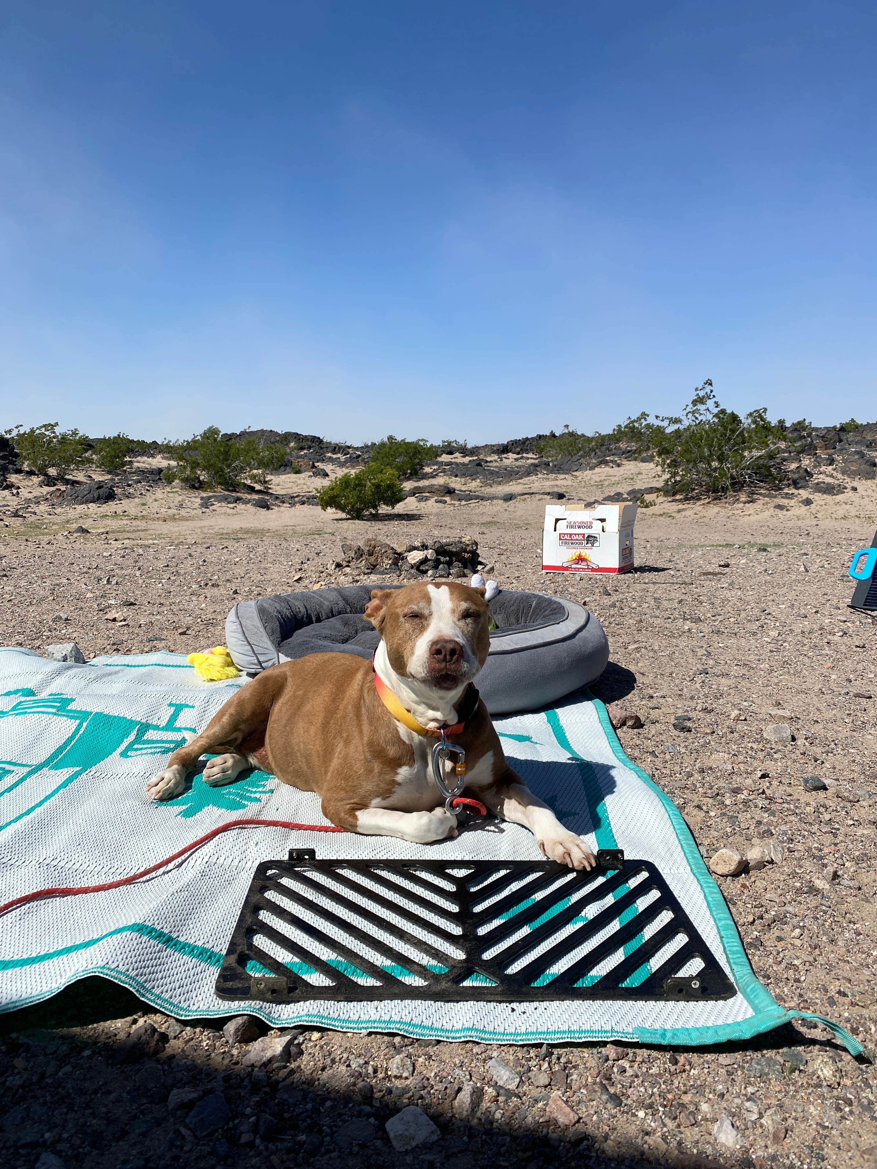 Camper-submitted photo at Amboy Crater Dispersed near Amboy, CA